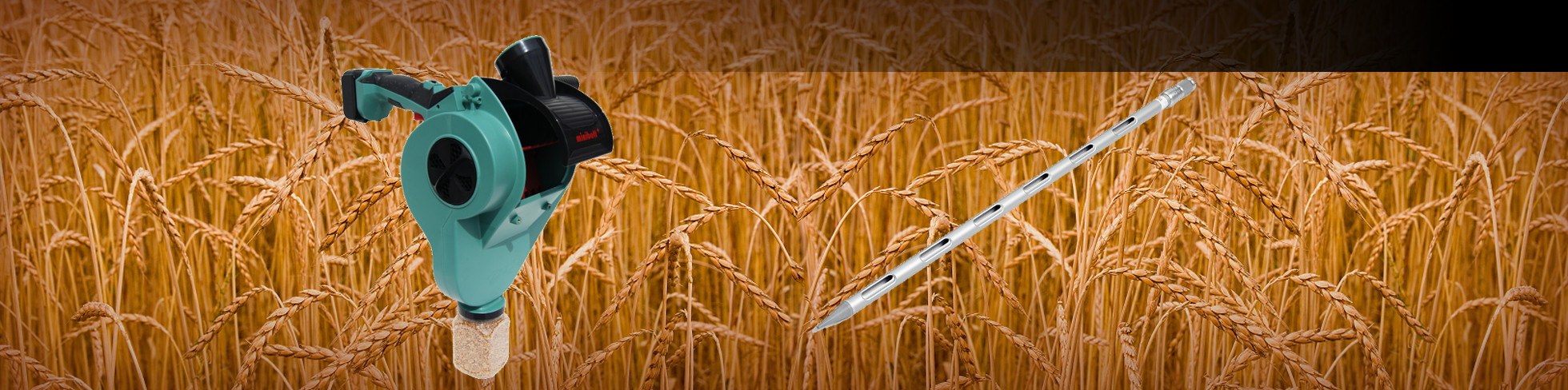 Probenahme Probenahme